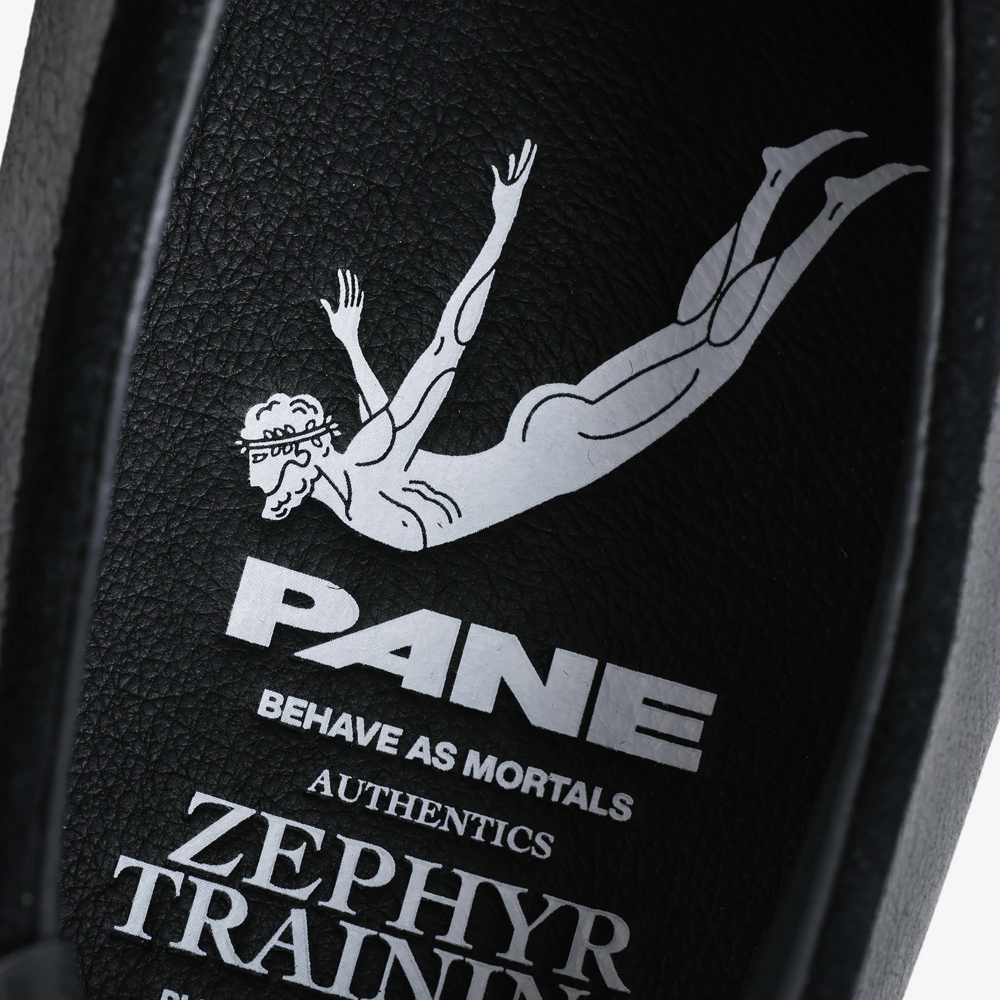 Pane Zephyr Training Men’s Shoes – Opaque - Image 7