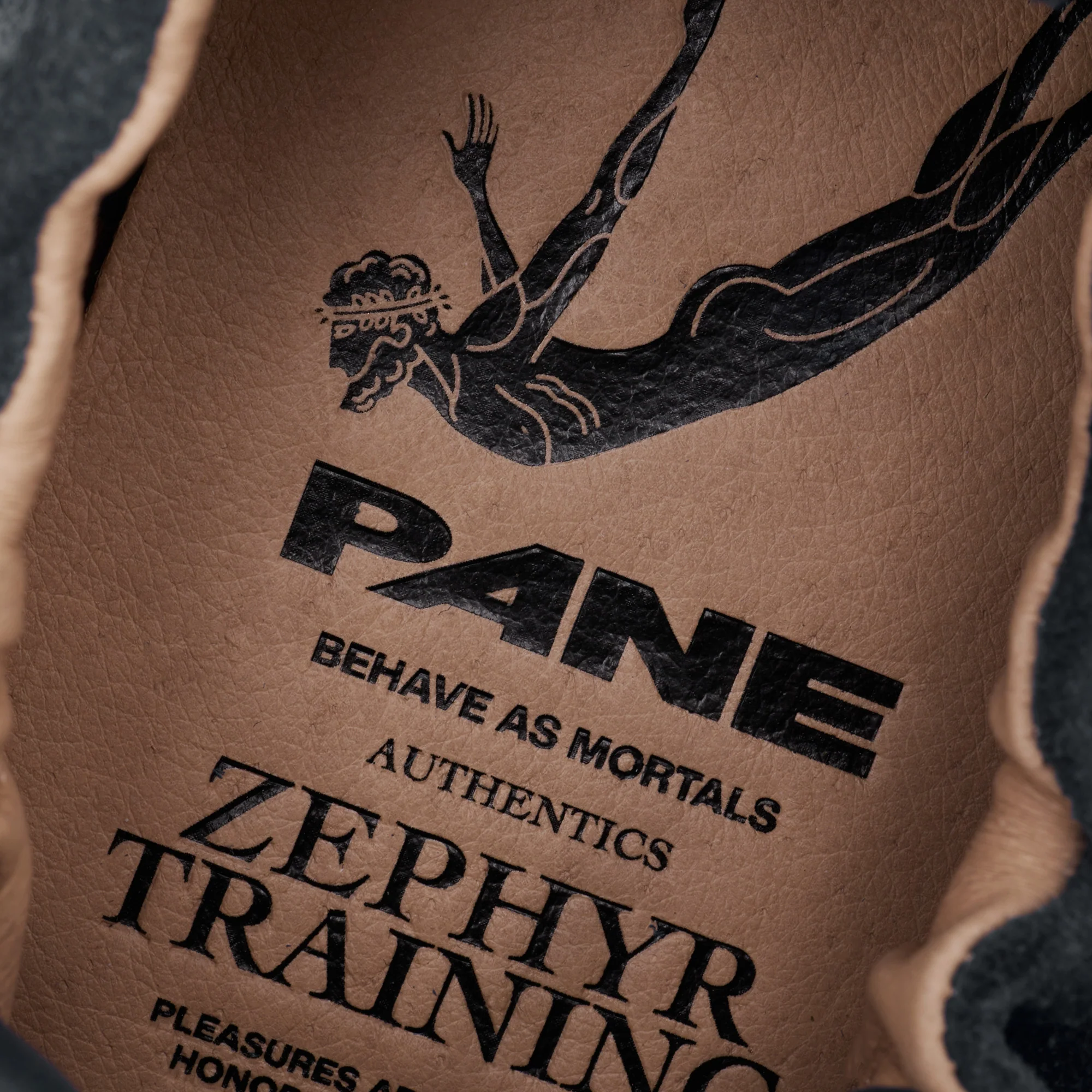 Pane Zephyr Training Pouching Men’s Shoes – Wastly - Image 7